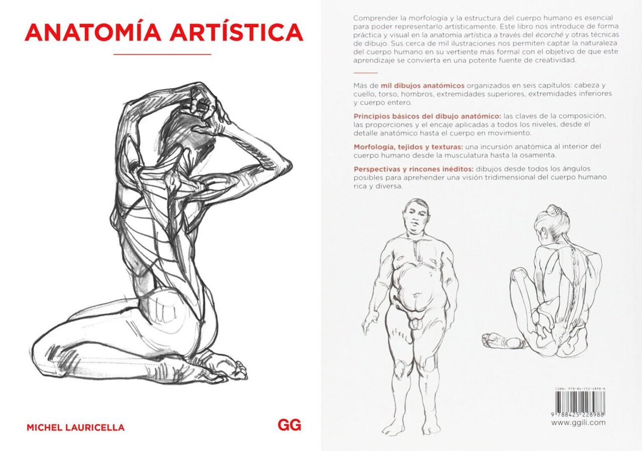 Anatomía Artística